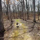 Review photo of Cuivre River State Park Campground by Jan S., May 6, 2022