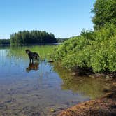 Review photo of Brown Tract Pond Campground by Monica F., July 13, 2018