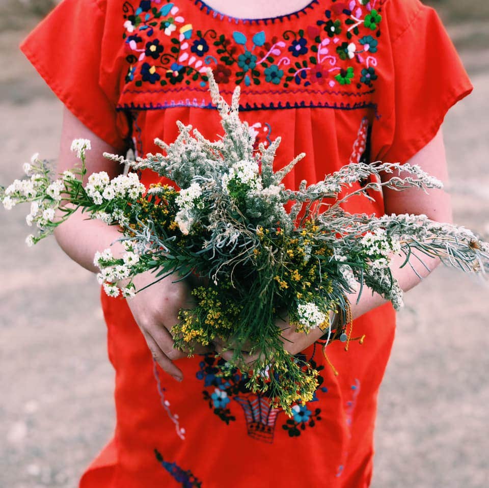 Camper-submitted photo at Little Dancing Horse Ranch near Cibola National Forest and Grasslands