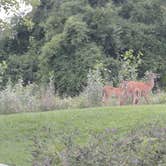 Review photo of Owens Creek Campground — Catoctin Mountain Park by Maggie A., May 5, 2022