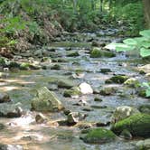 Review photo of Cave Mountain Lake Group Camp — George Washington & Jefferson National Forest by Maggie A., May 5, 2022