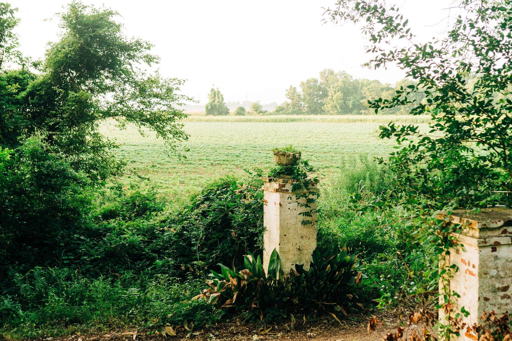 Camper-submitted photo at Louisiana Herbs on Breston Plantation near Winnfield, LA