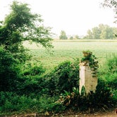 Review photo of Louisiana Herbs on Breston Plantation by LaRee S., May 6, 2022