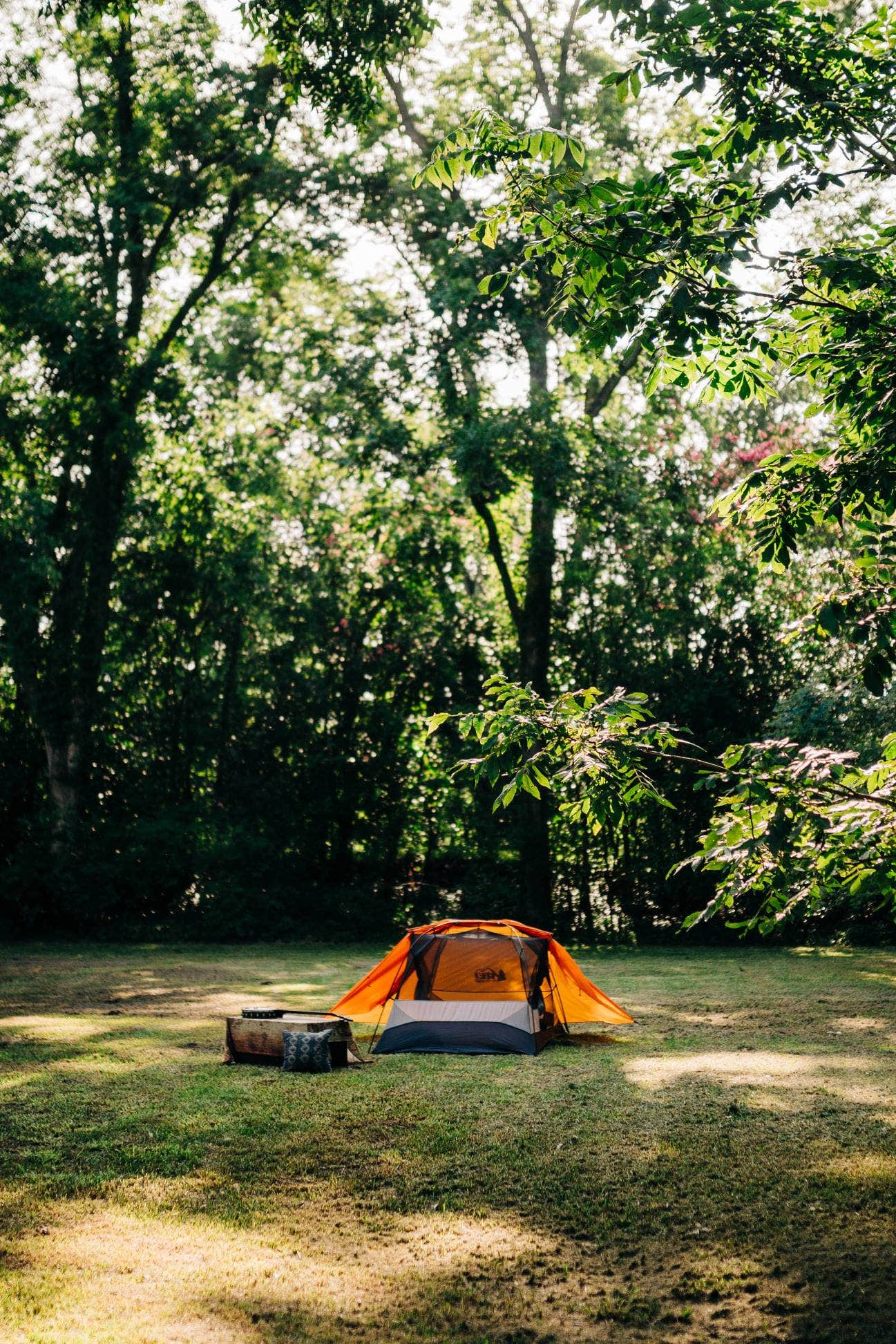 Camper submitted image from Louisiana Herbs on Breston Plantation - 1