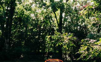 LaRee S.'s photo of tent camping at Louisiana Herbs on Breston Plantation in Louisiana