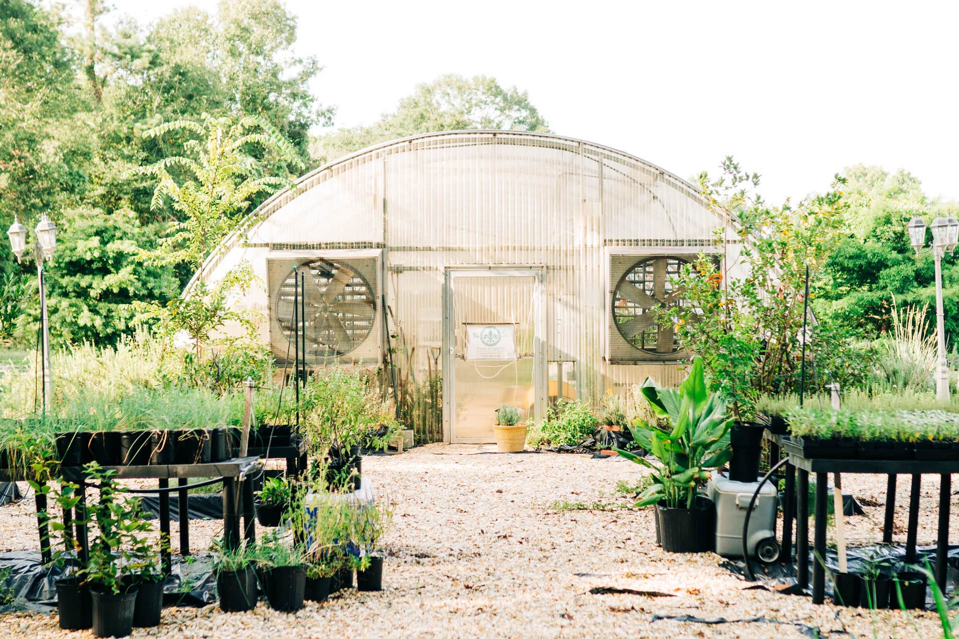 Camper-submitted photo at Louisiana Herbs on Breston Plantation near Winnfield, LA