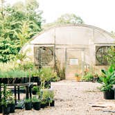 Review photo of Louisiana Herbs on Breston Plantation by LaRee S., May 6, 2022