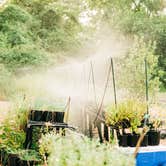 Review photo of Louisiana Herbs on Breston Plantation by LaRee S., May 6, 2022