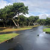 Review photo of Nehalem Bay State Park Campground by Kat P., May 6, 2022