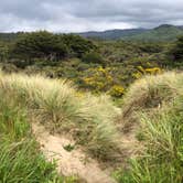 Review photo of Nehalem Bay State Park Campground by Kat P., May 6, 2022