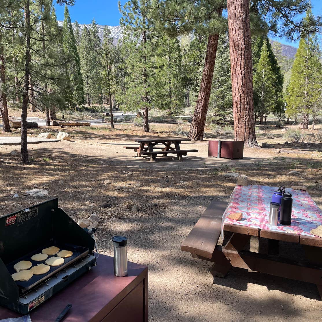 Barton Flats Campground Camping | The Dyrt