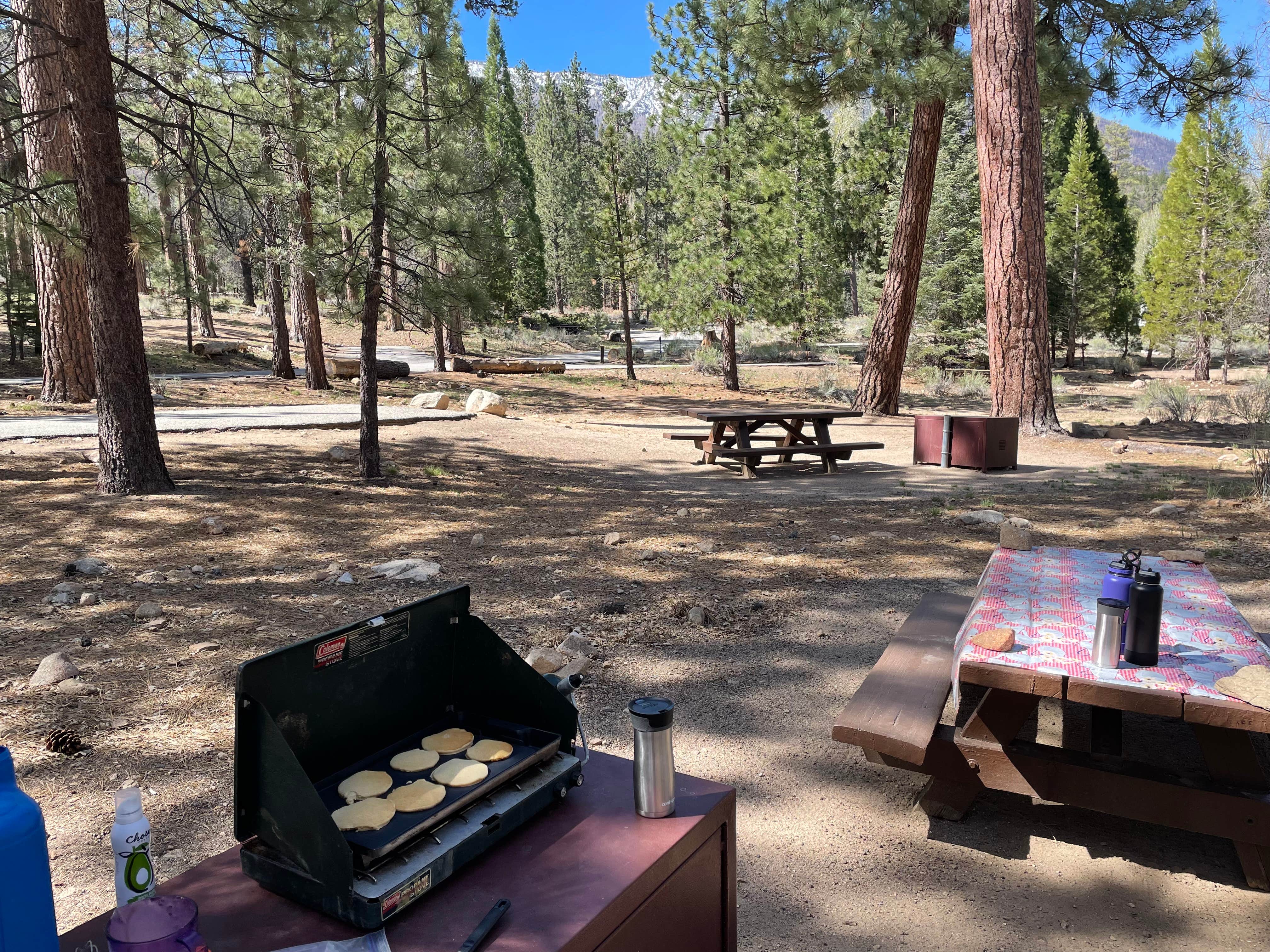 Camper submitted image from Barton Flats Campground - 2
