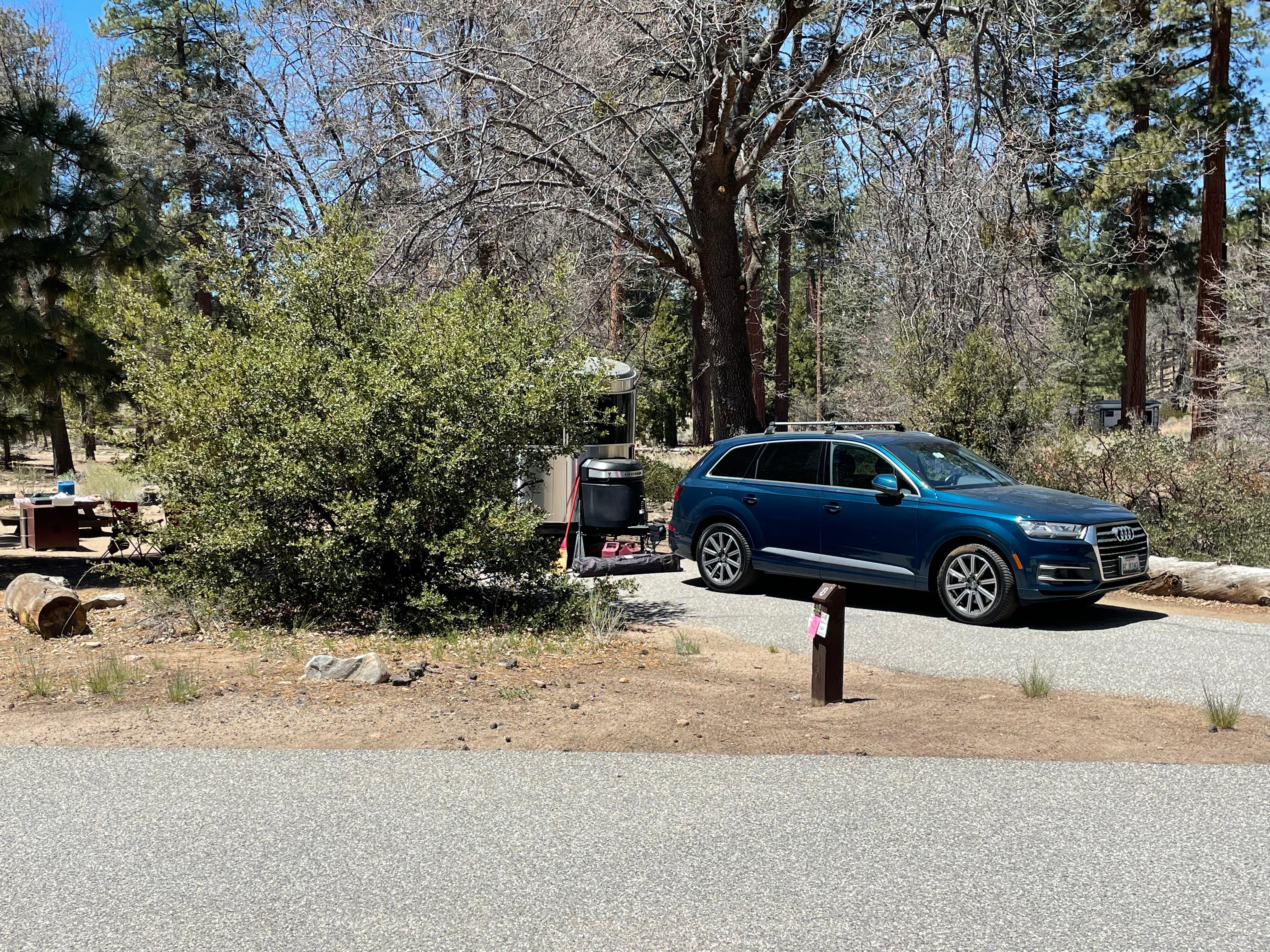 Camper submitted image from Barton Flats Campground - 3