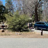 Review photo of Barton Flats Campground by Tim A S., May 6, 2022