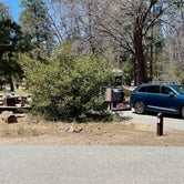 Review photo of Barton Flats Campground by Tim A S., May 6, 2022