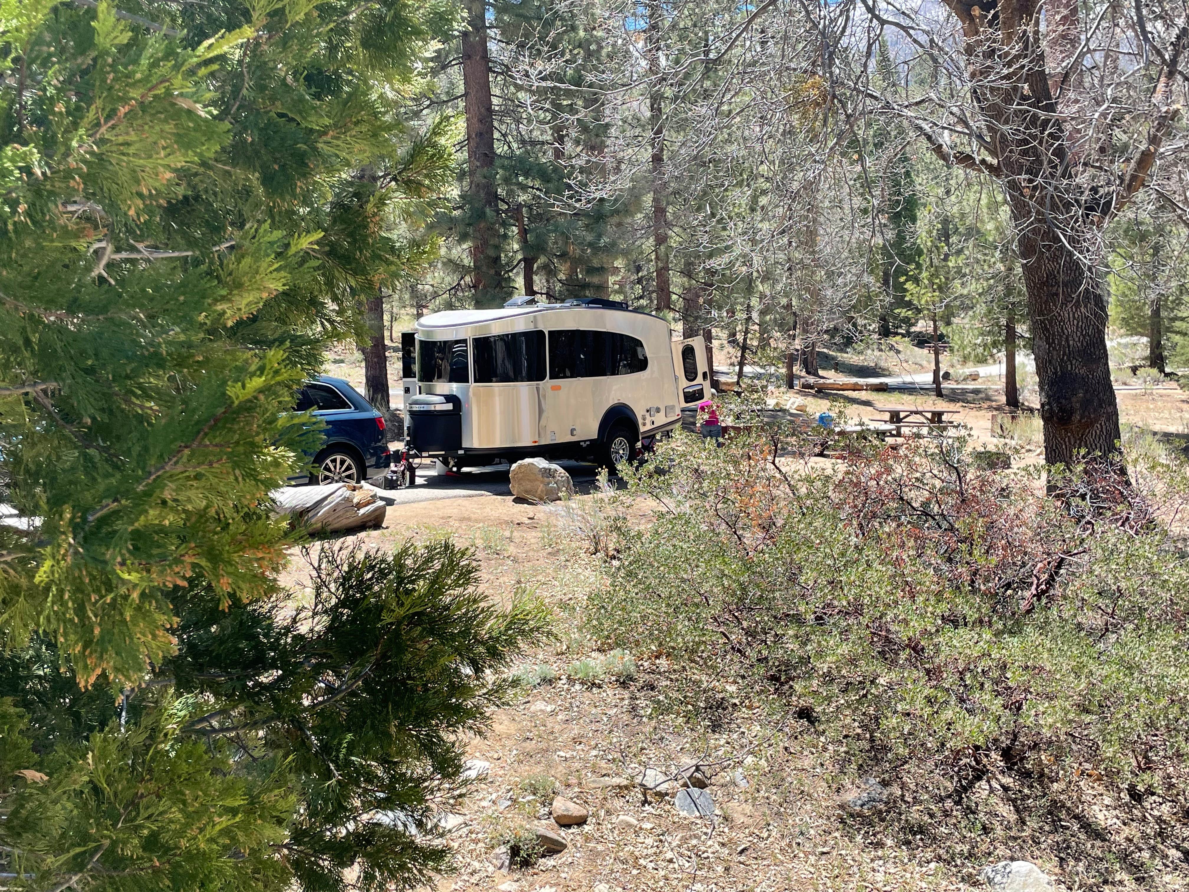 Camper submitted image from Barton Flats Campground - 4