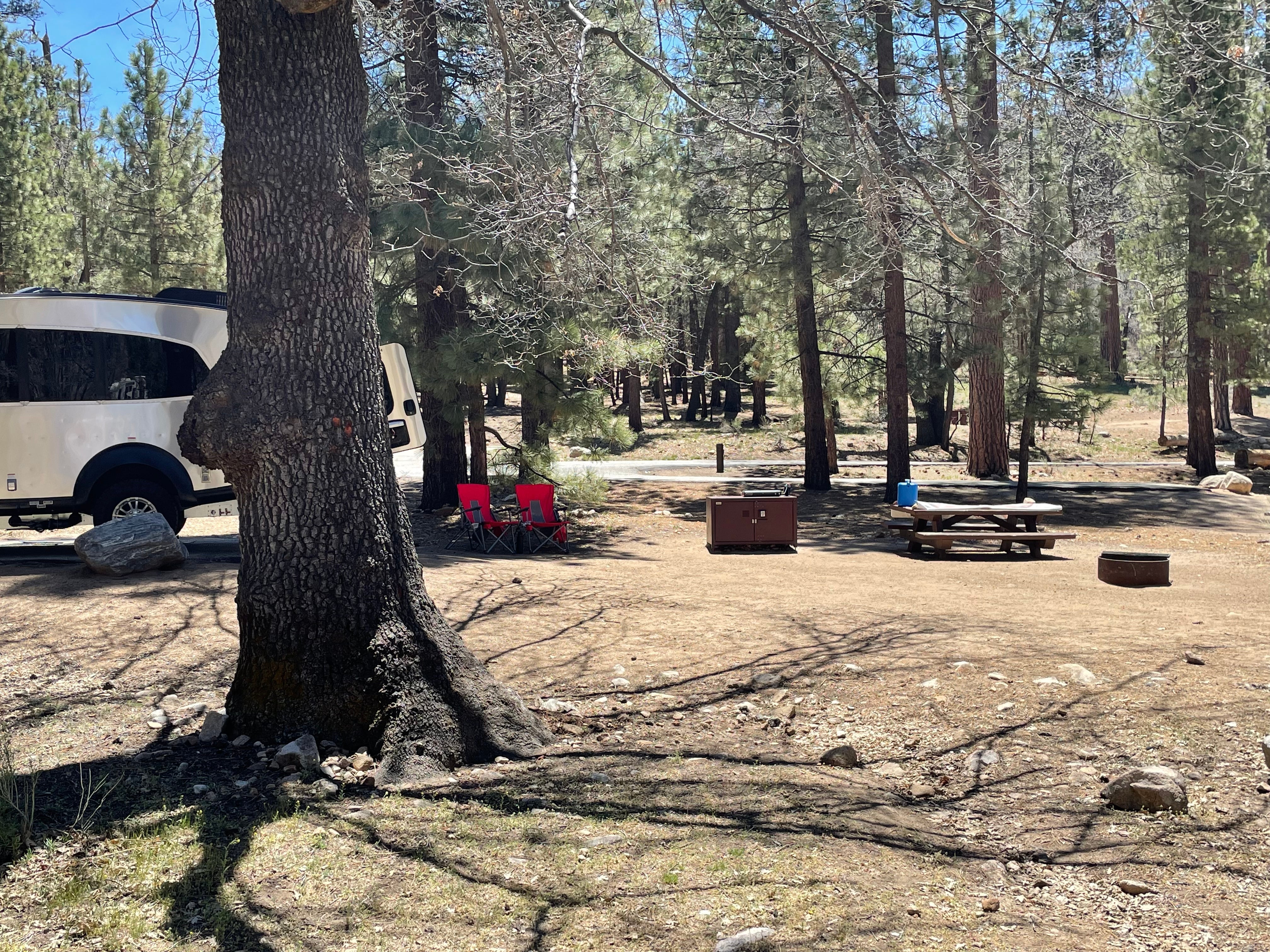 Camper submitted image from Barton Flats Campground - 5