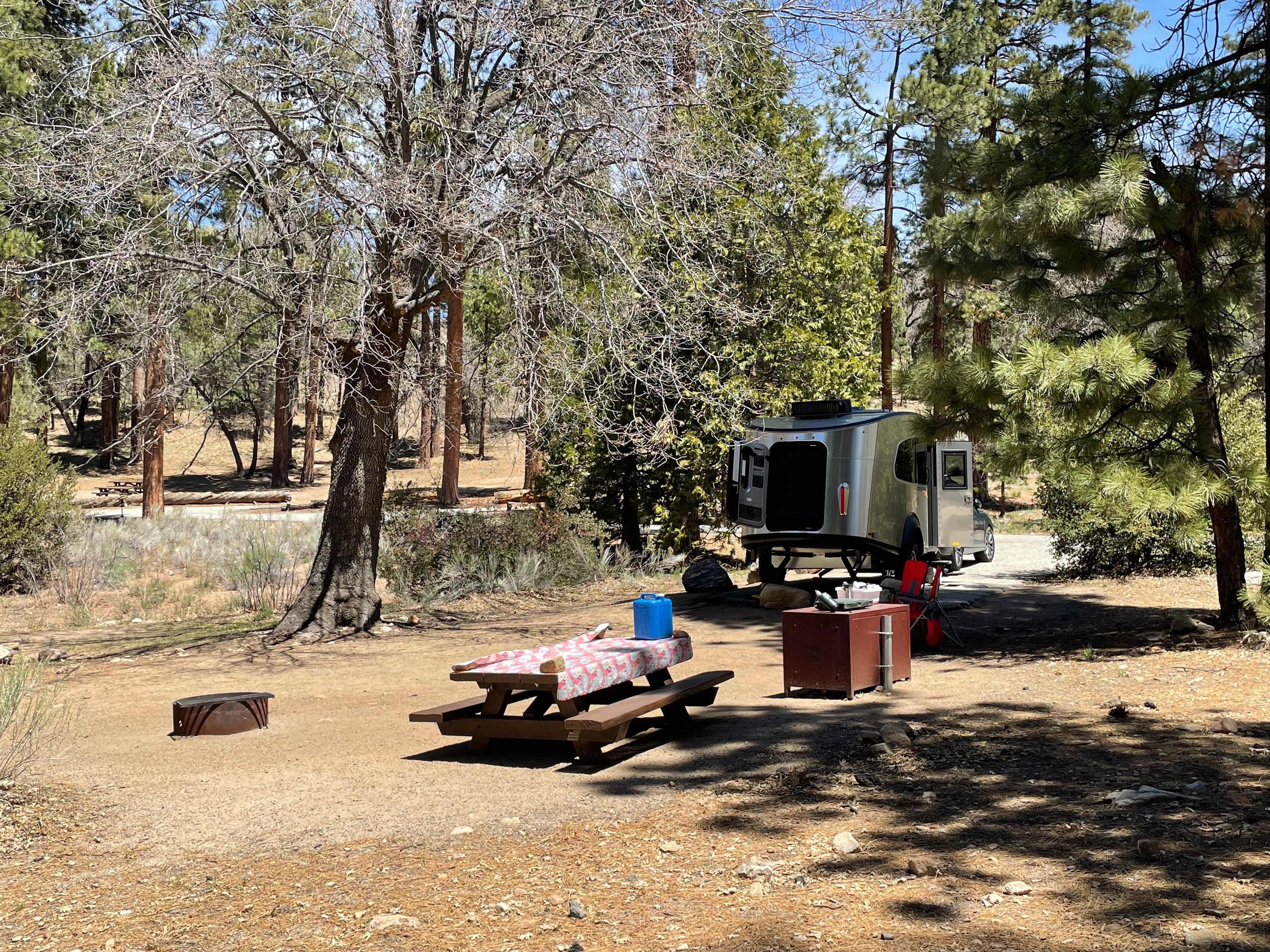 Camper submitted image from Barton Flats Campground - 4