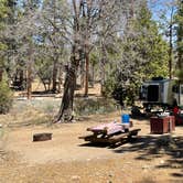 Review photo of Barton Flats Campground by Tim A S., May 6, 2022