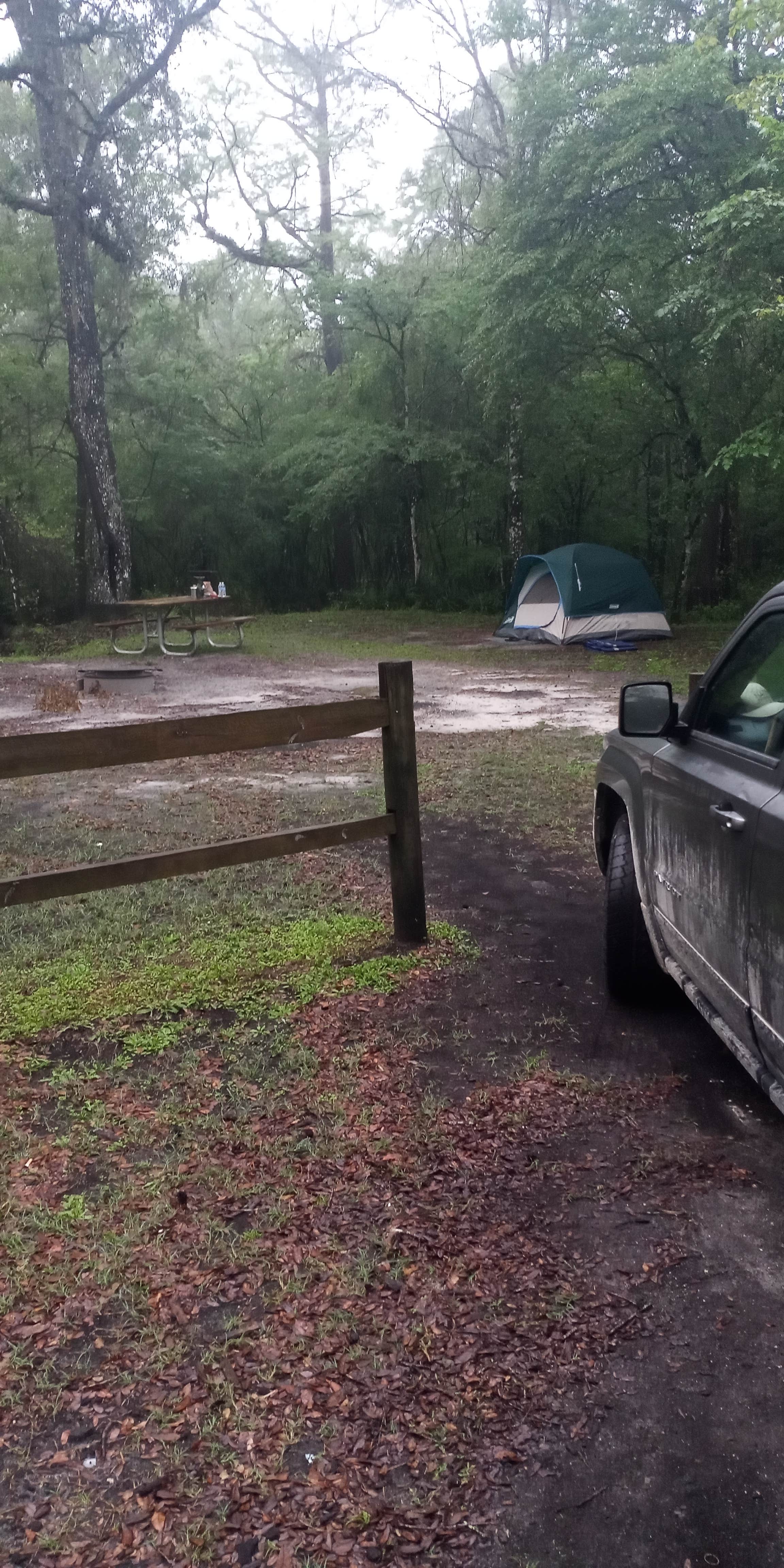 Camper-submitted photo at River Junction Campground — Withlacoochee State Forest near Lake Panasoffkee, FL