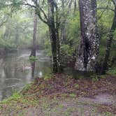 Review photo of River Junction Campground - Withlacoochee State Forest by Rusty R., May 6, 2022