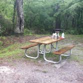 Review photo of River Junction Campground - Withlacoochee State Forest by Rusty R., May 6, 2022