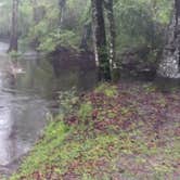 Review photo of River Junction Campground - Withlacoochee State Forest by Rusty R., May 6, 2022
