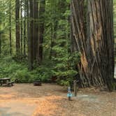 Review photo of Hidden Springs Campground — Humboldt Redwoods State Park by Laura M., May 6, 2022