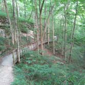 Review photo of Mammoth Cave Campground — Mammoth Cave National Park by K H., July 13, 2018