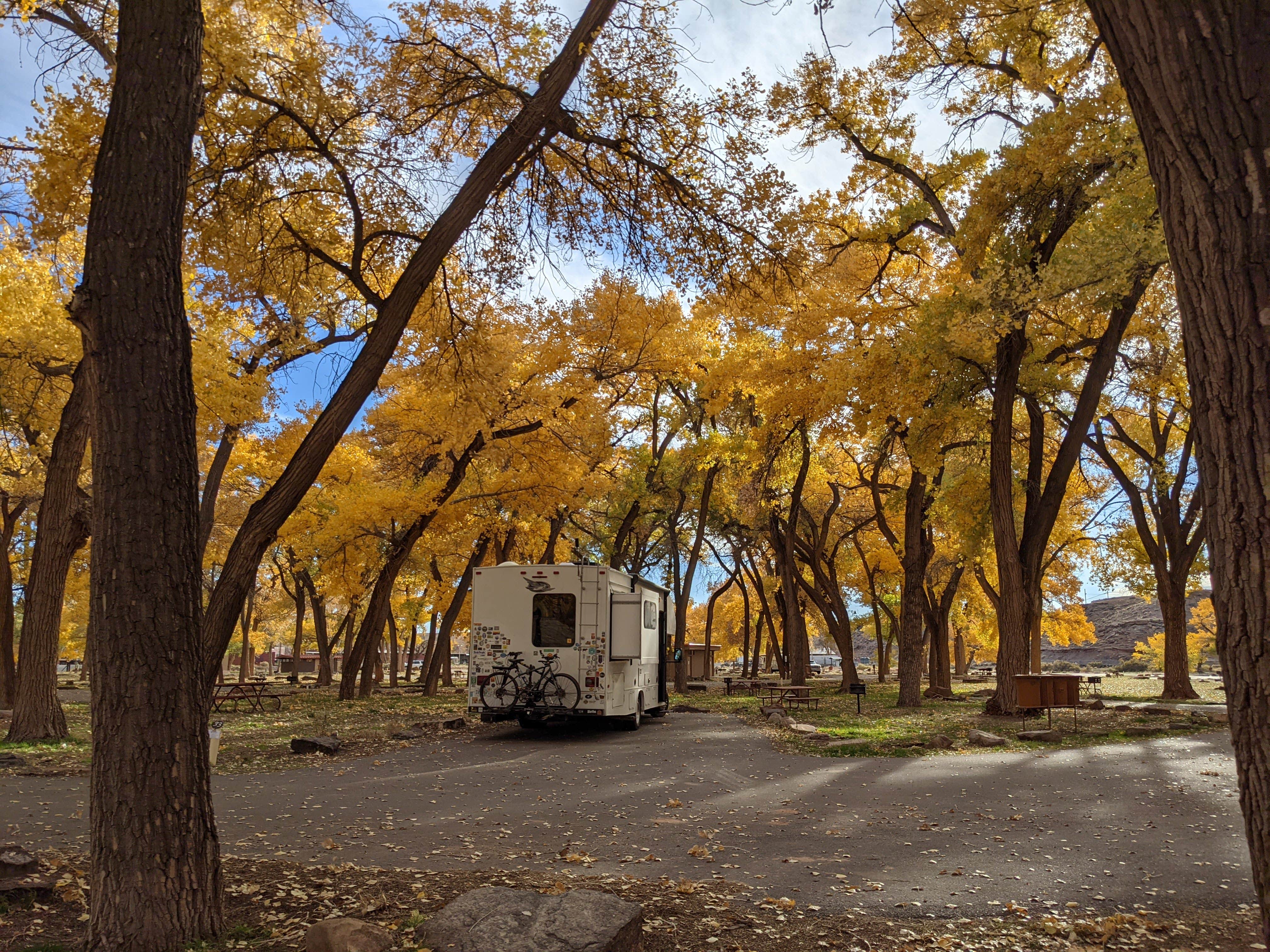 Laura M.'s photo of rv camping at Cottonwood Campground near Chinle, AZ