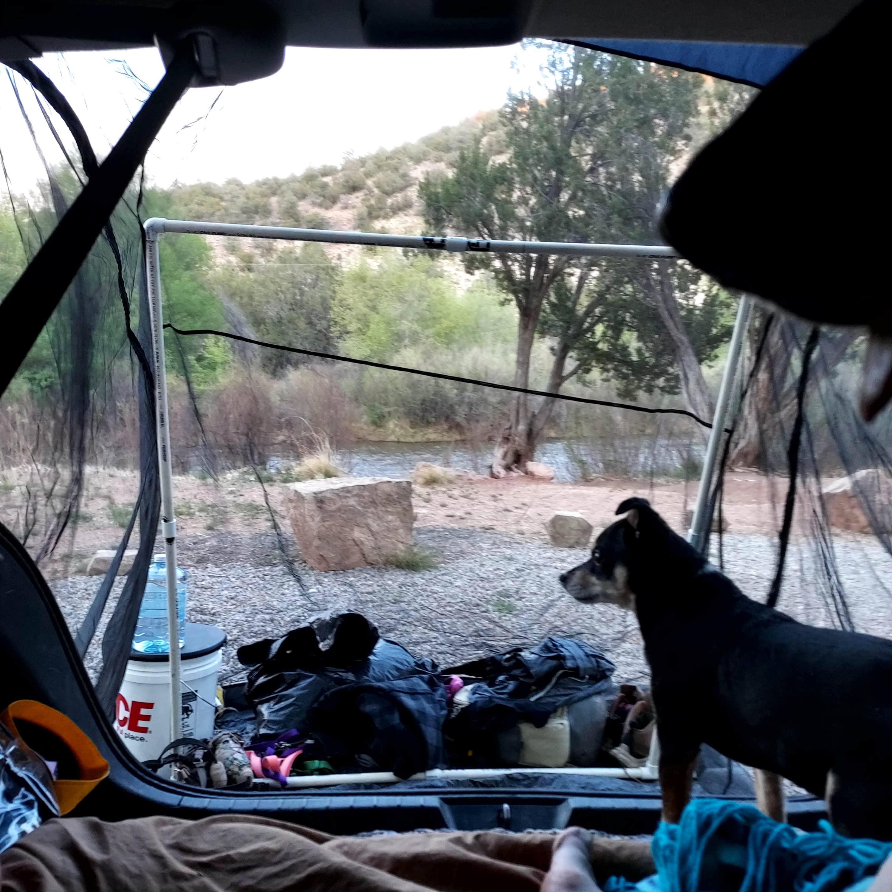 Kimberly M.'s photo of camping with pets at Villanueva State Park Campground near Las Vegas, NM