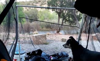 Kimberly M.'s photo of camping with pets at Villanueva State Park Campground near Las Vegas, NM