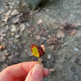 Review photo of Elk Neck State Park Campground by Maggie A., May 7, 2022