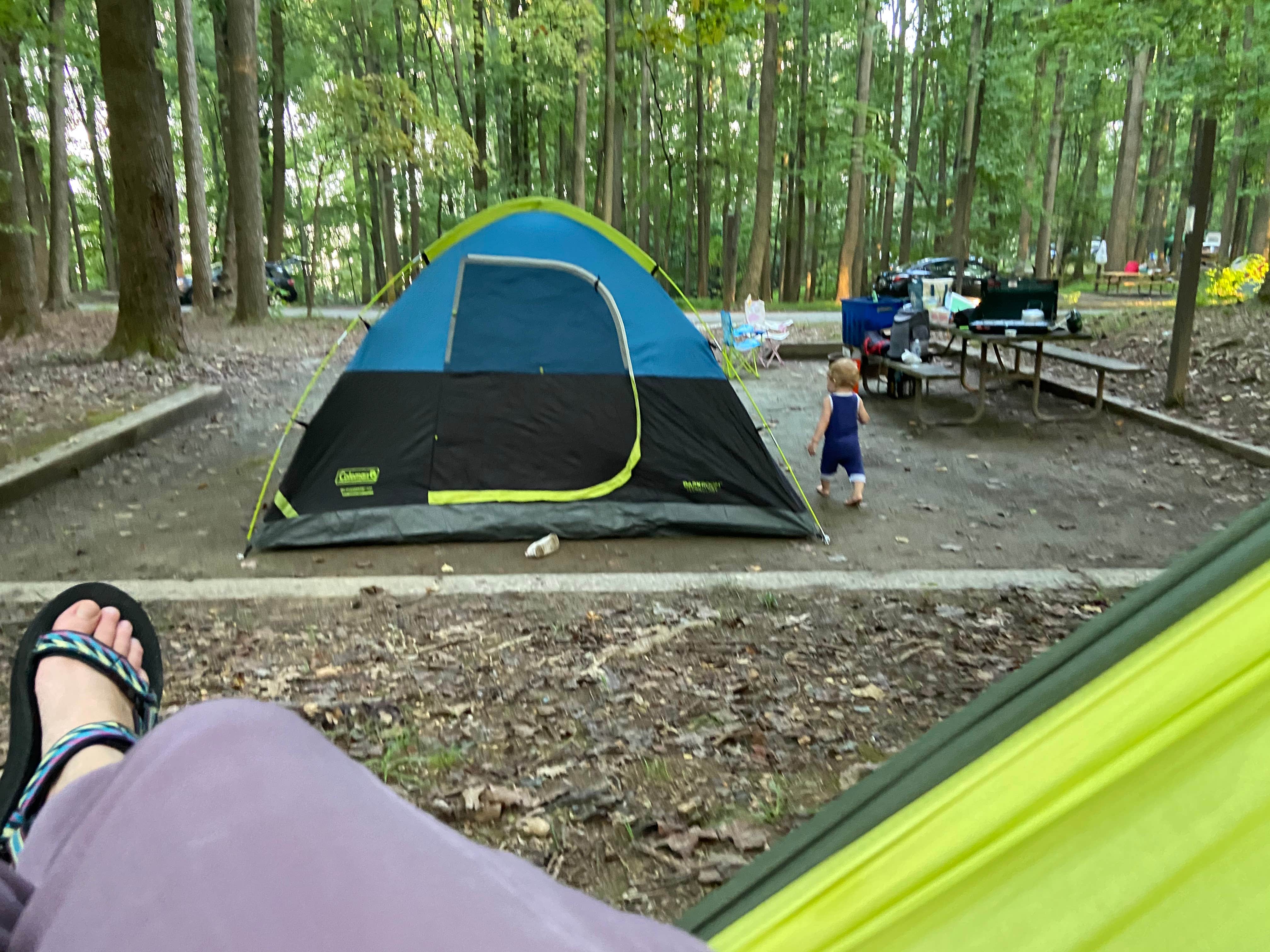 Maggie A.'s photo at Elk Neck State Park Campground in Maryland