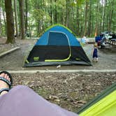 Review photo of Elk Neck State Park Campground by Maggie A., May 7, 2022