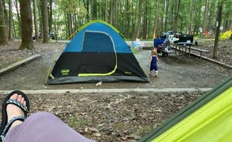 Maggie A.'s photo at Elk Neck State Park Campground in Maryland