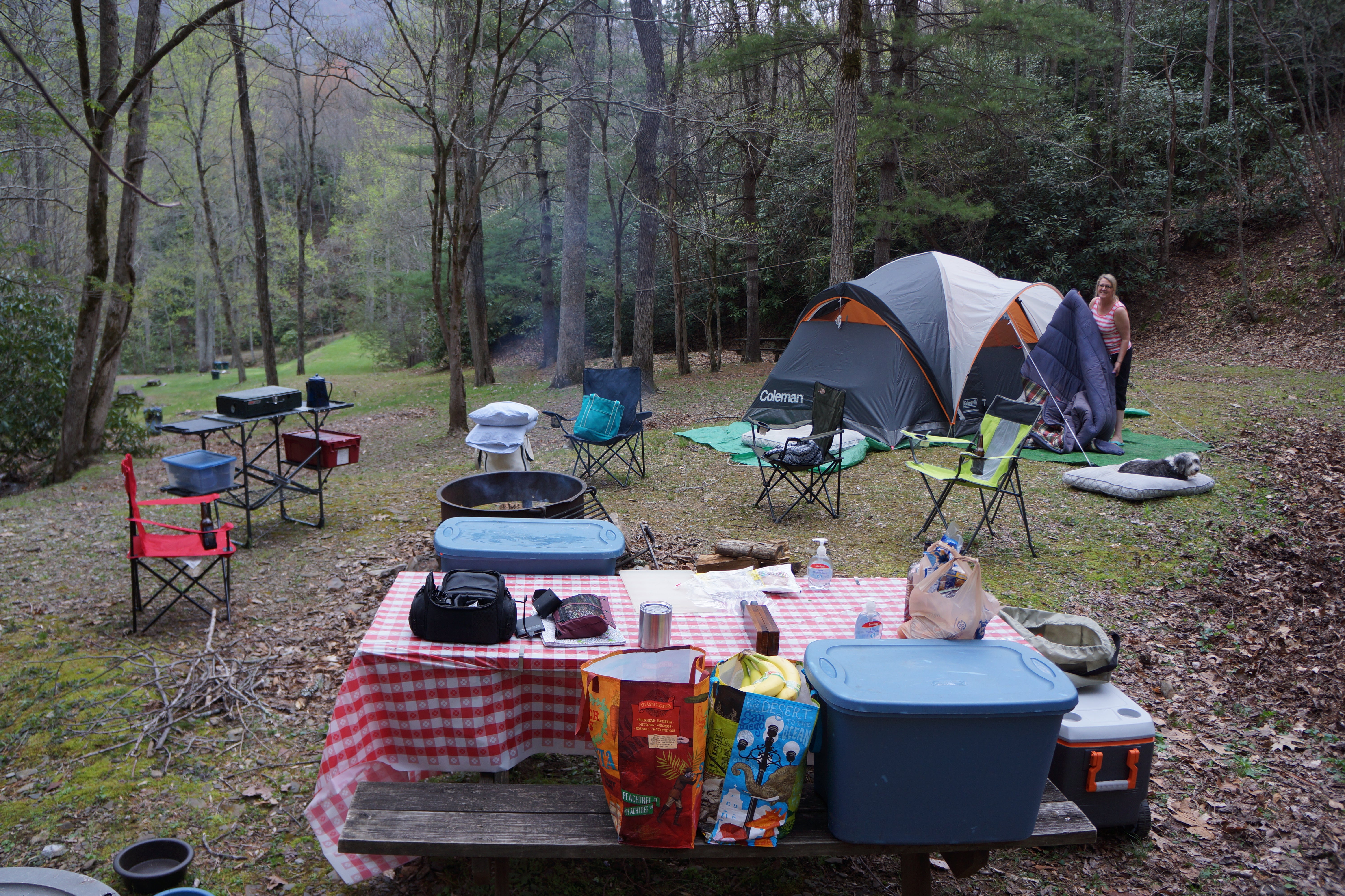 Camper submitted image from Nantahala Hideaway Campground & Cabins - 1