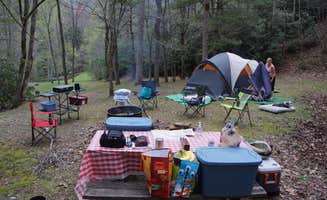 michelle J.'s photo at Nantahala Hideaway Campground & Cabins near Croatan National Forest