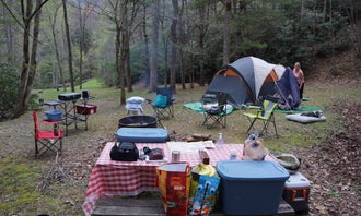 Camping near Rough Ridge Campground: Nantahala Hideaway Campground & Cabins, Croatan National Forest, North Carolina