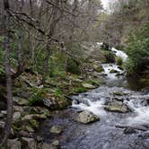 Review photo of Nantahala Hideaway Campground & Cabins by michelle J., May 7, 2022