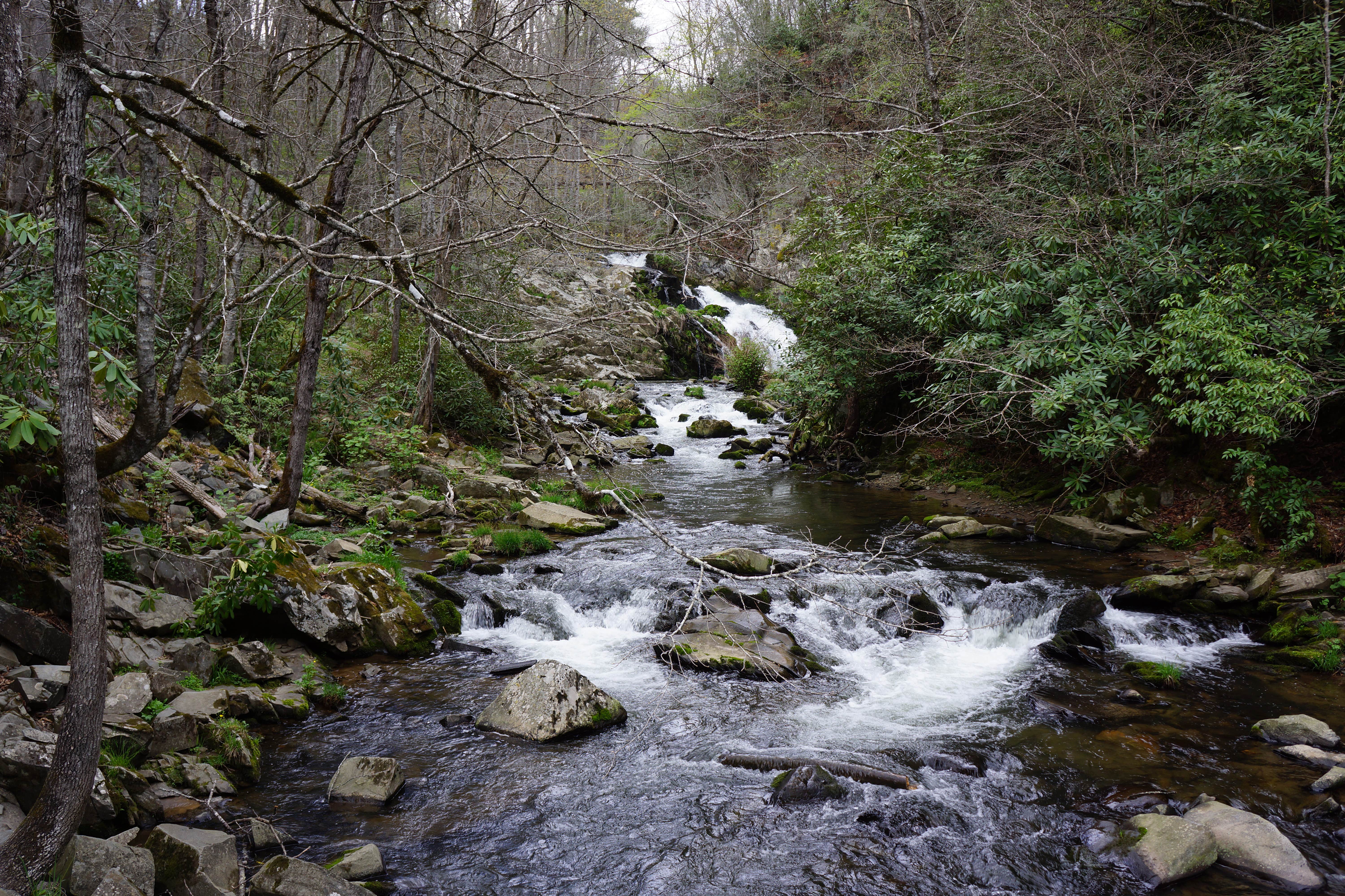 Camper submitted image from Nantahala Hideaway Campground & Cabins - 3