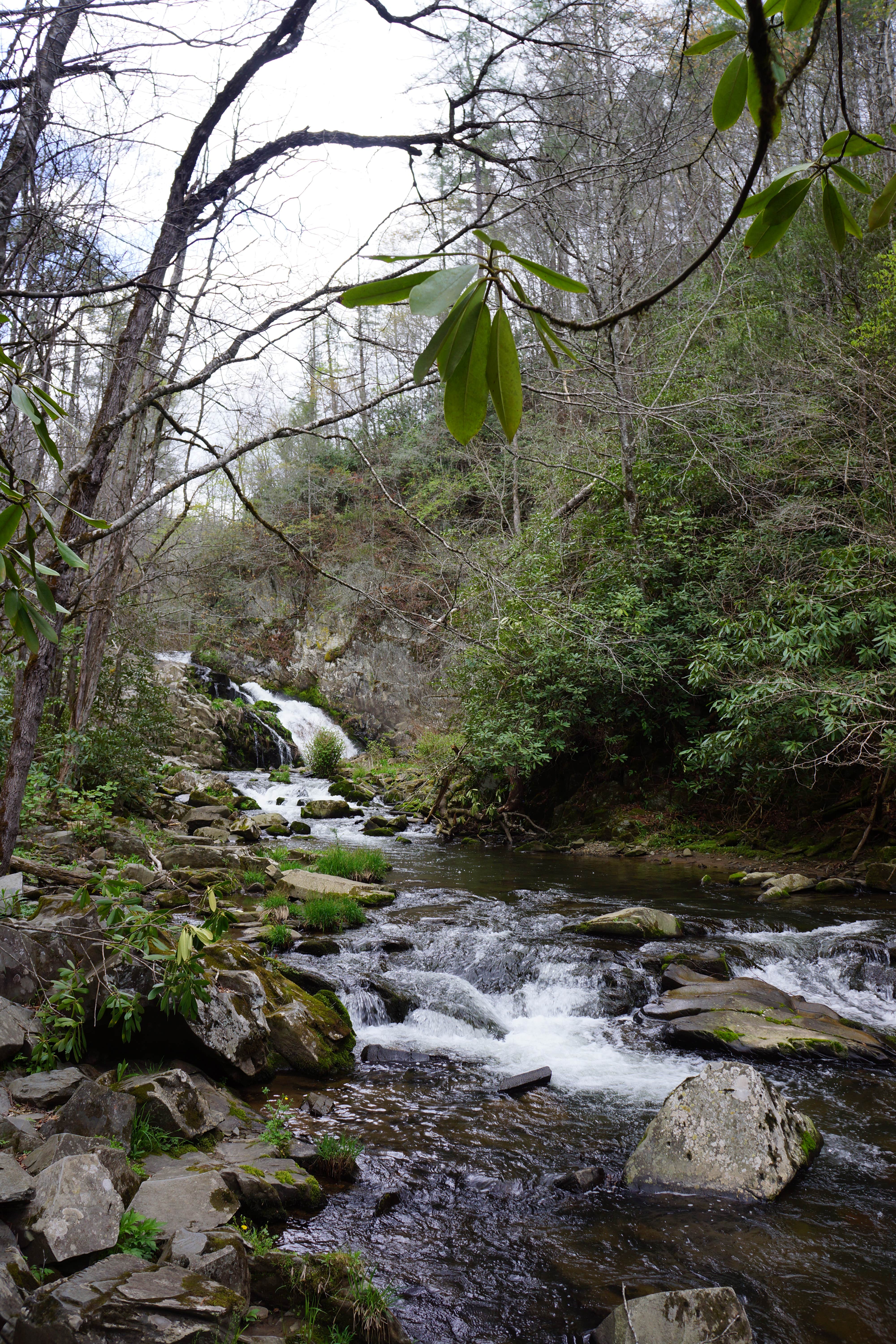 Camper-submitted photo at Nantahala Hideaway Campground & Cabins near Croatan National Forest