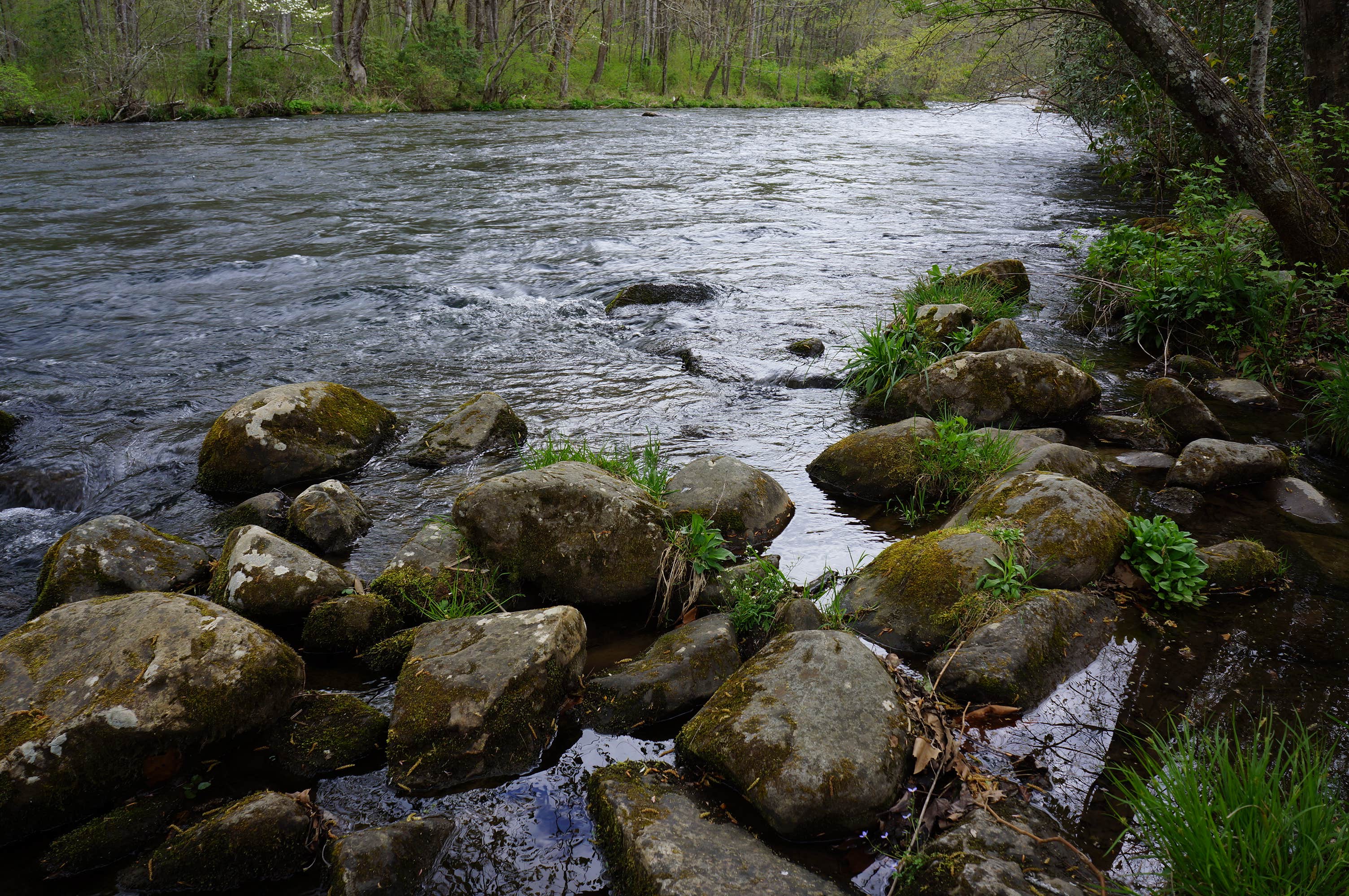 Camper-submitted photo at Nantahala Hideaway Campground & Cabins near Croatan National Forest