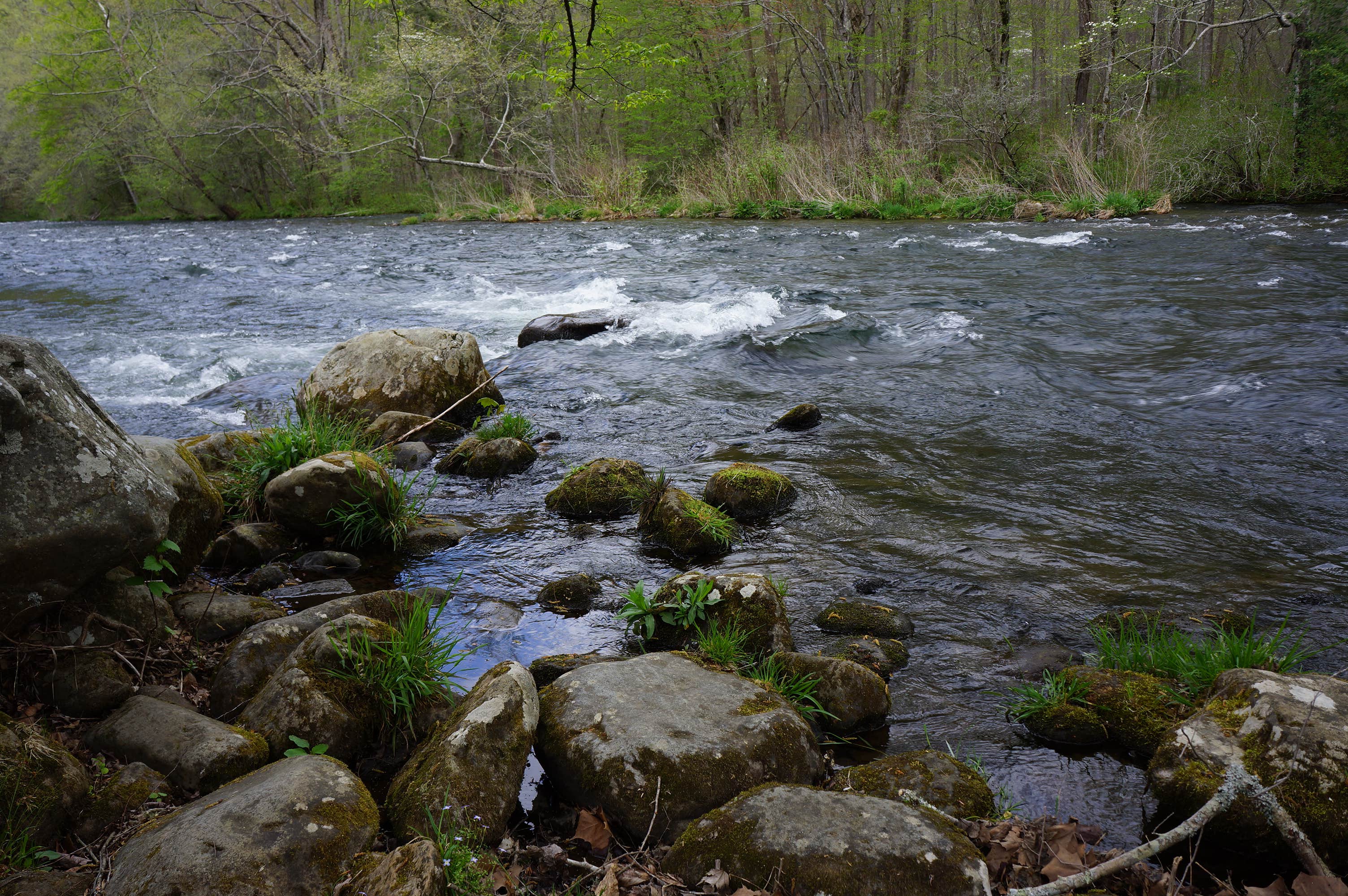 Camper-submitted photo at Nantahala Hideaway Campground & Cabins near Croatan National Forest