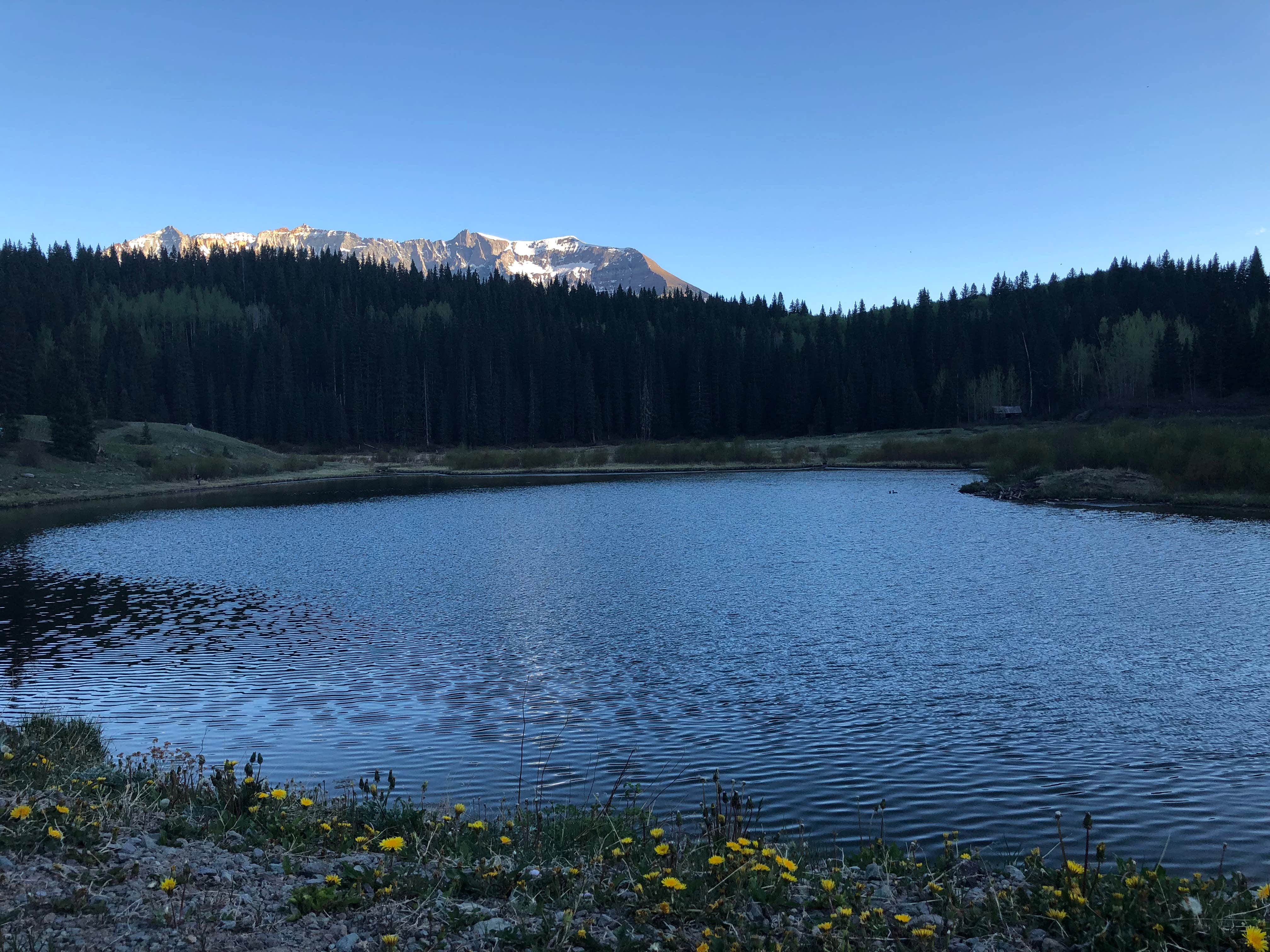 Julia L.'s photo of a dispersed camping area at Priest Lake Dispersed Camping Area near San Juan National Forest