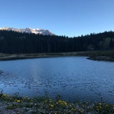 Review photo of Priest Lake Dispersed Camping Area by Julia L., July 13, 2018