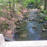 Review photo of Cave Mountain Lake Group Camp — George Washington & Jefferson National Forest by Frank , May 7, 2022