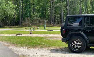 Bill B.'s photo of camping with pets at Mount Pleasant-Charleston KOA in South Carolina