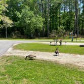 Review photo of Mount Pleasant-Charleston KOA by Bill B., May 7, 2022