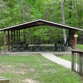 Review photo of Carter Caves State Resort Park by Bill B., May 7, 2022